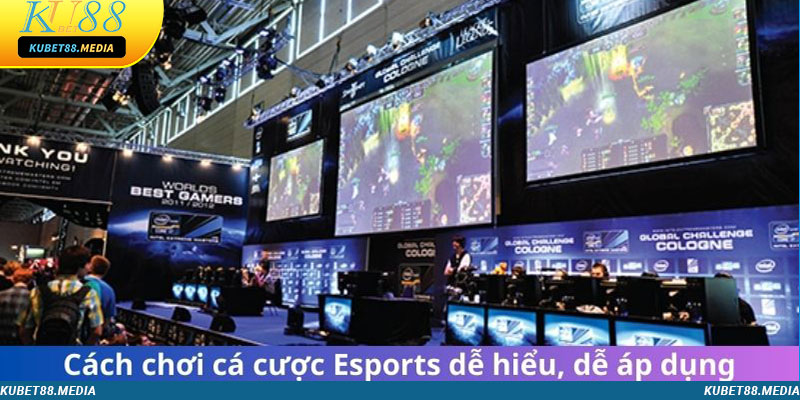 Cách chơi cá cược Esport dễ hiểu, dễ áp dụng