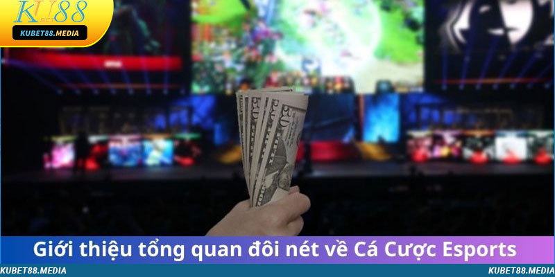 Giới thiệu tổng quan đôi nét về Cá Cược Esport