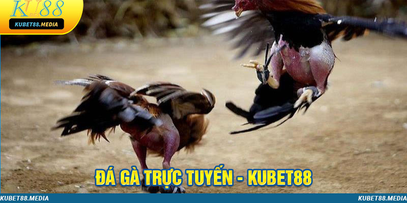 đá gà trực tuyến